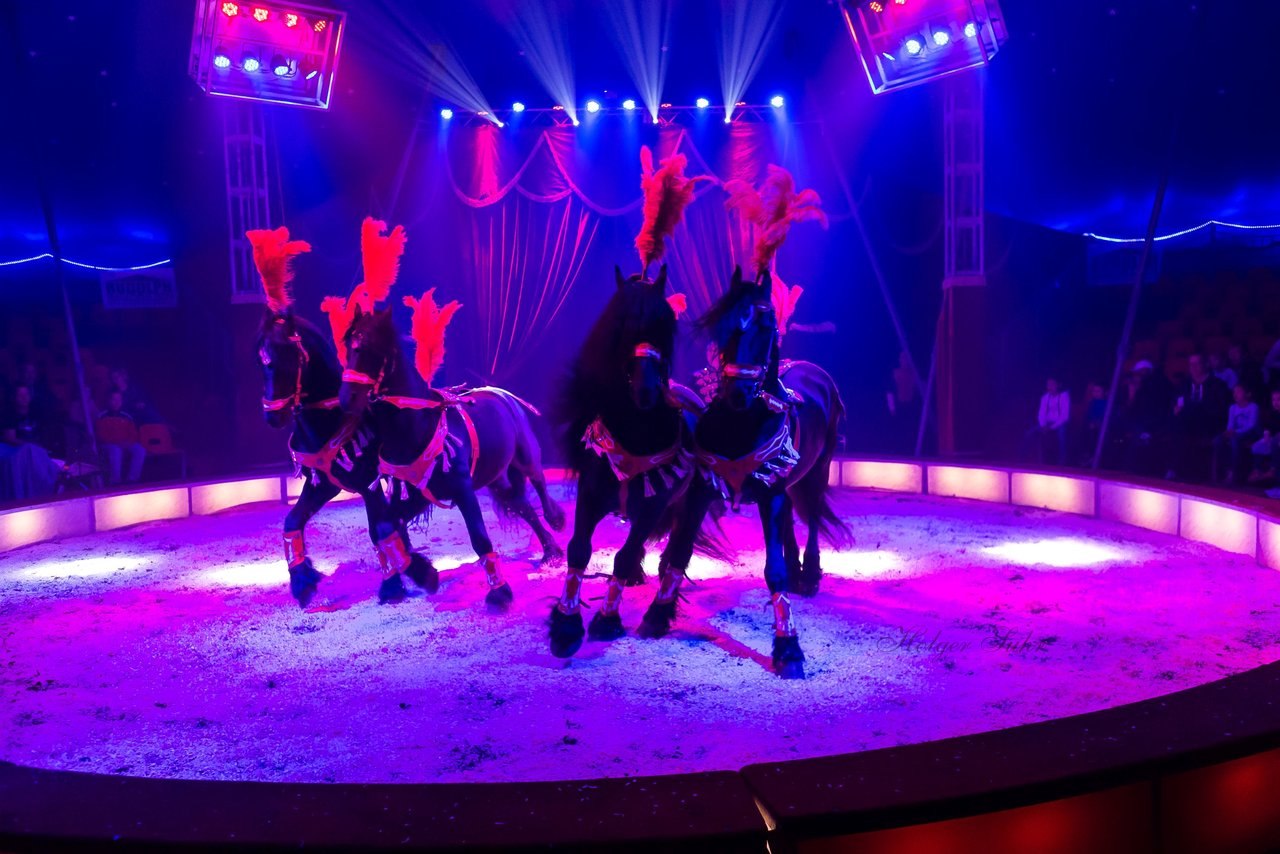 Bild 79 - Circus Europa